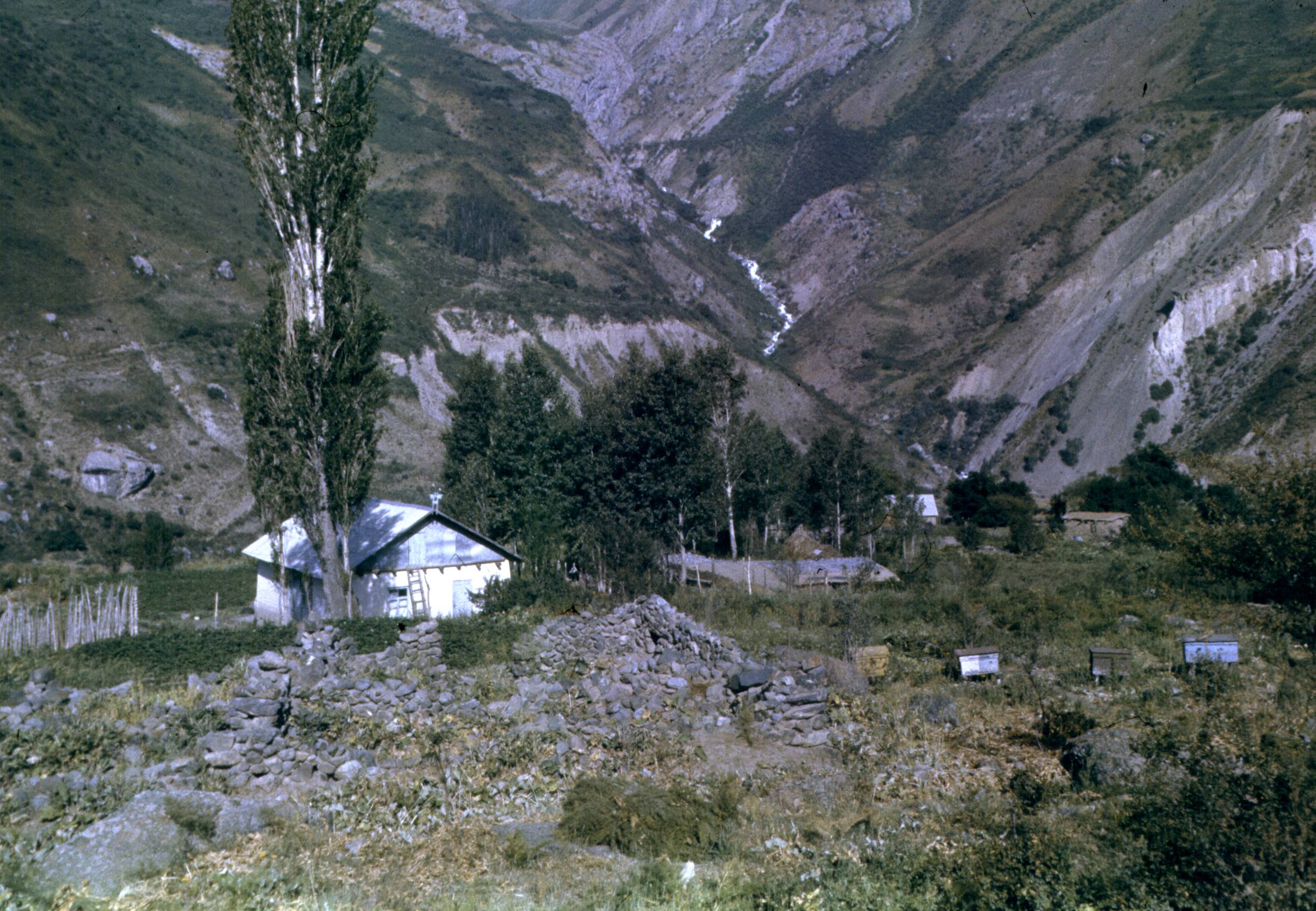 175.jpg