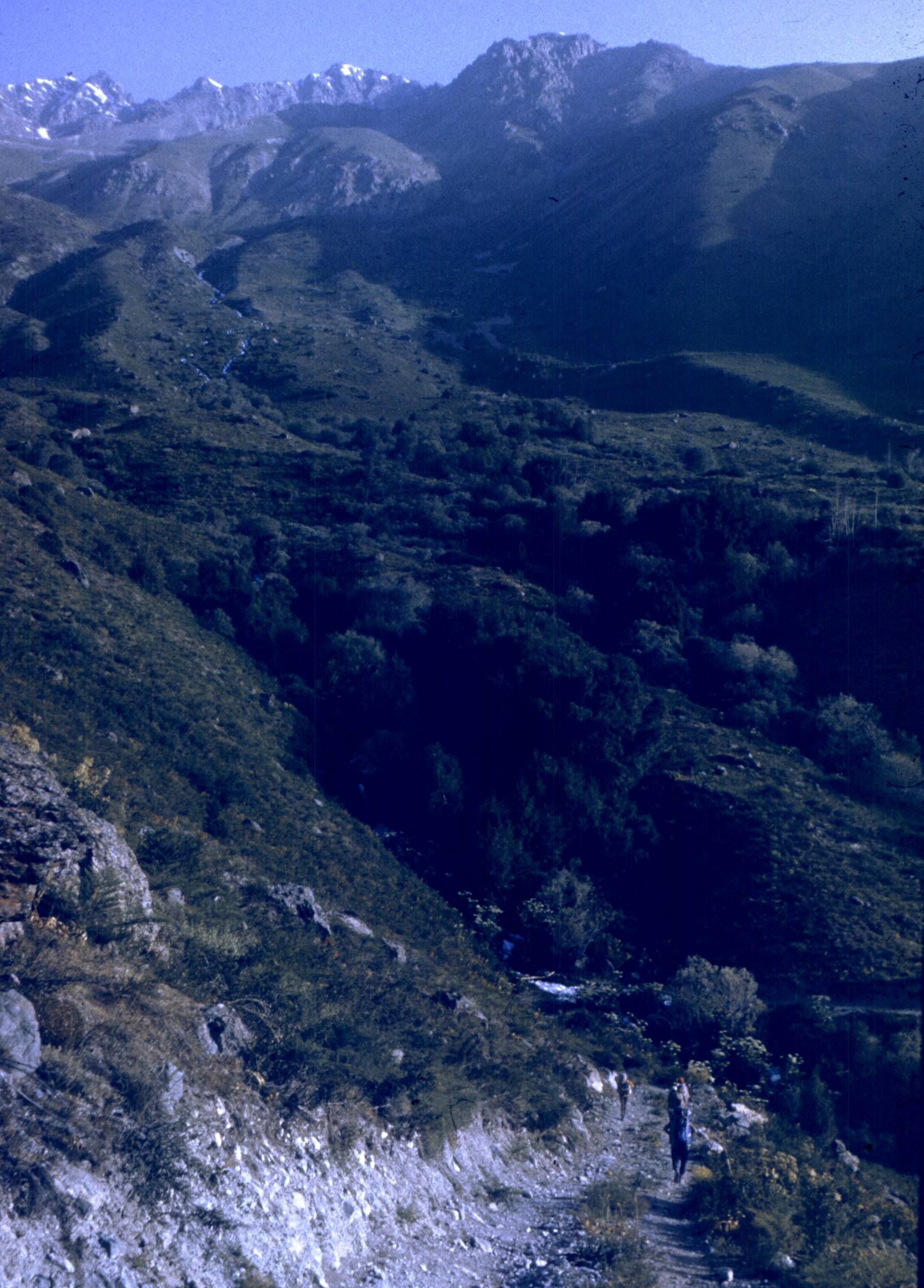 178.jpg