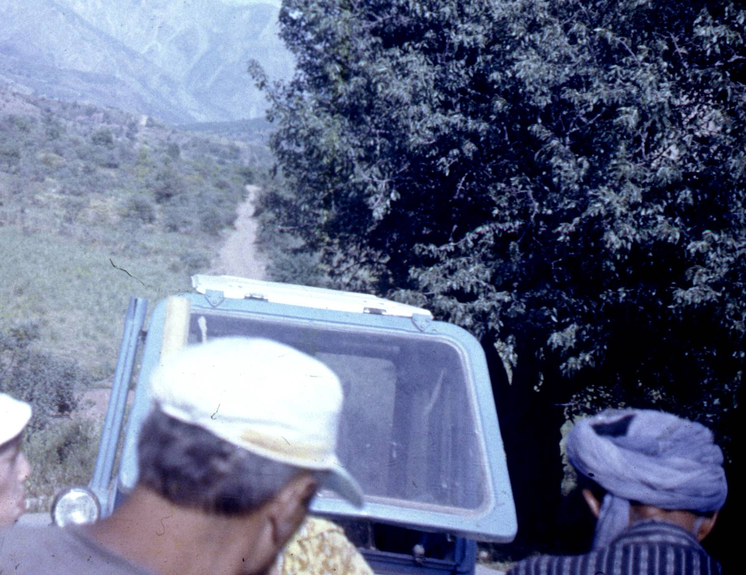 185.jpg