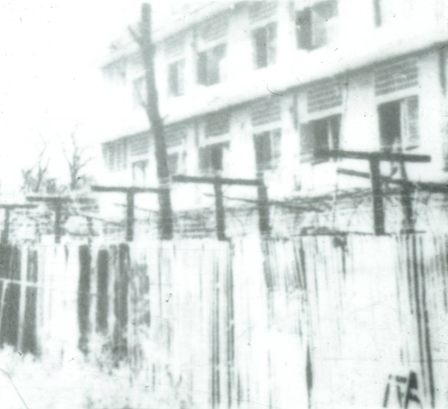 211.jpg