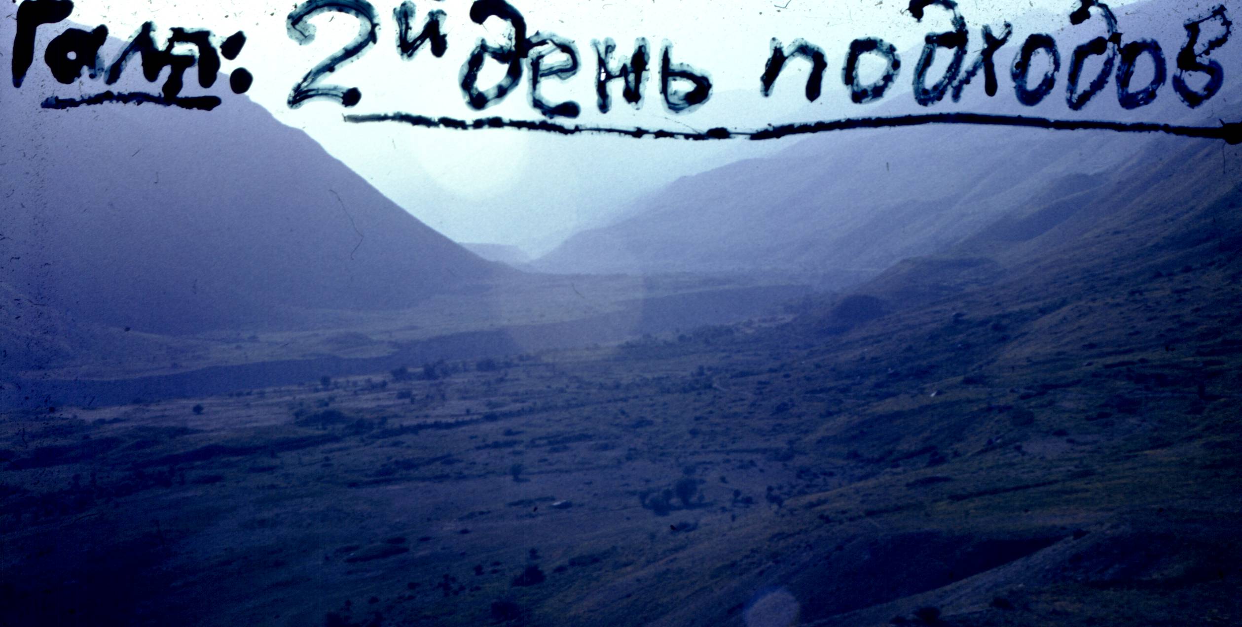 238.jpg