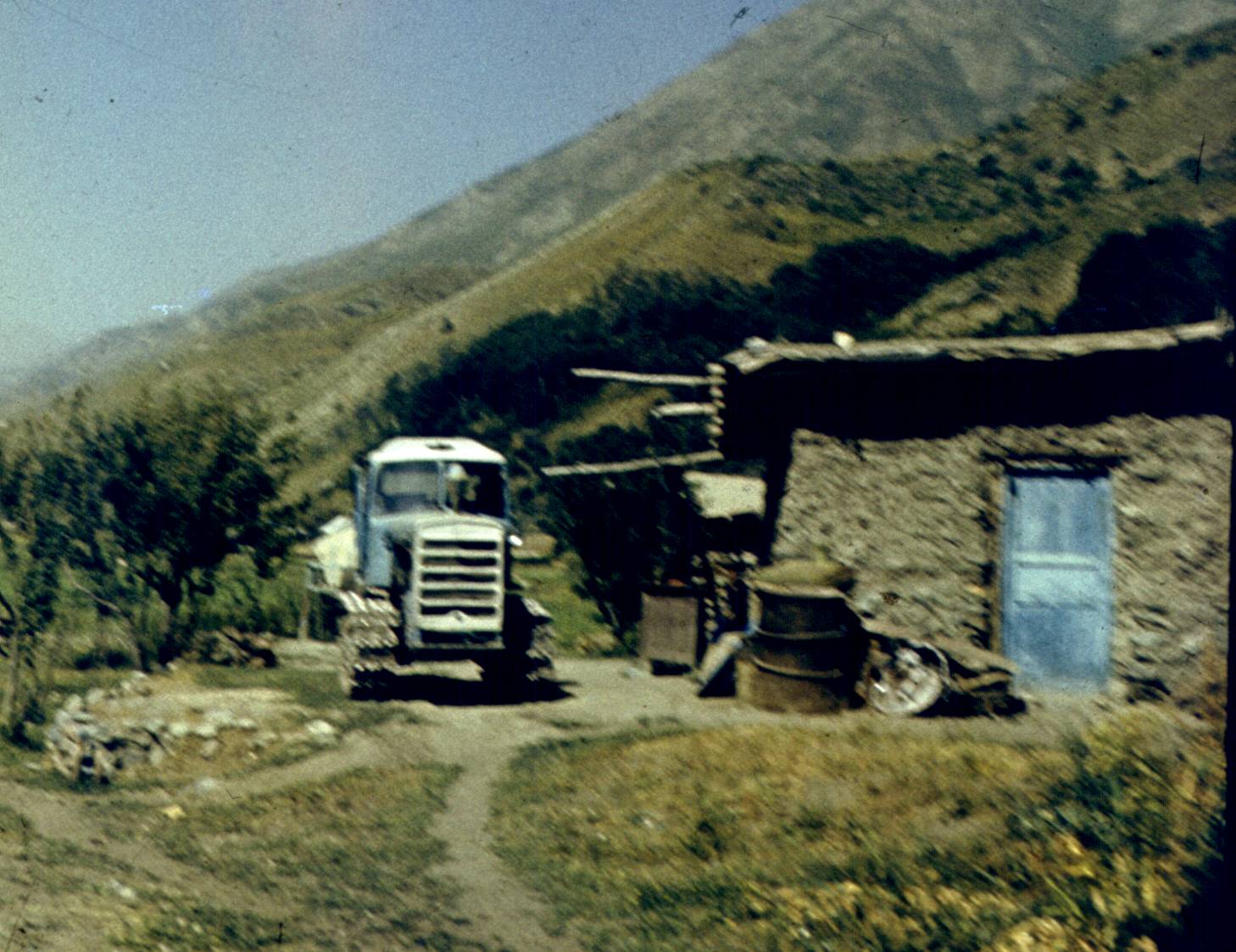 259.jpg