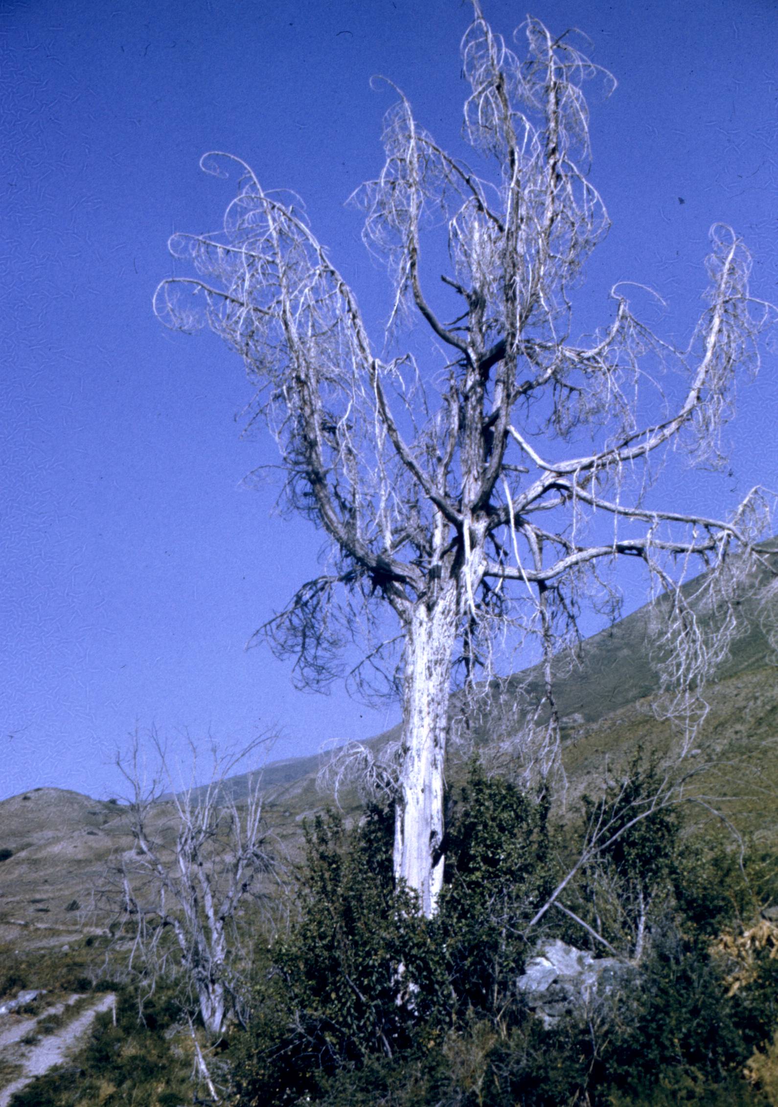 263.jpg