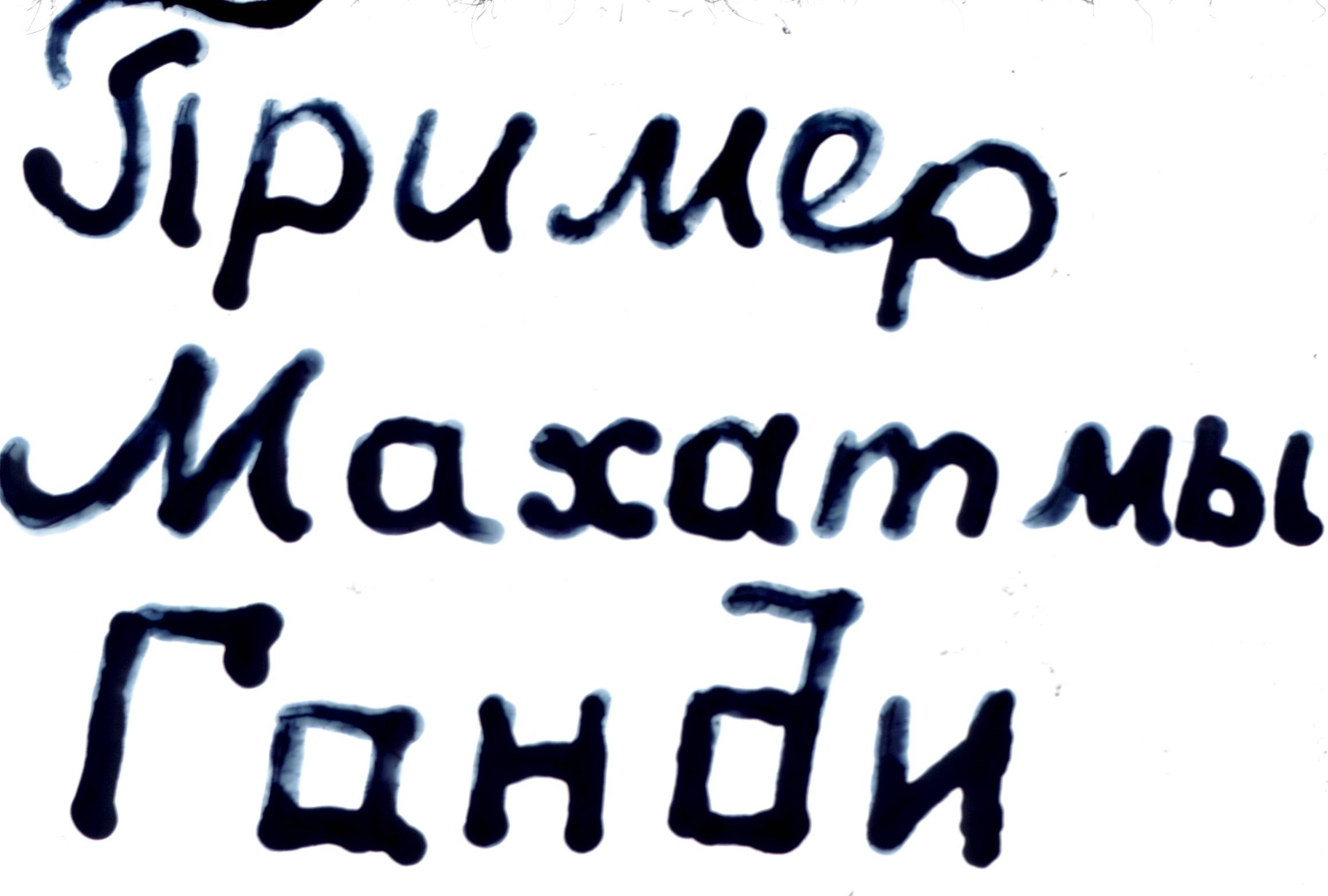 270.jpg