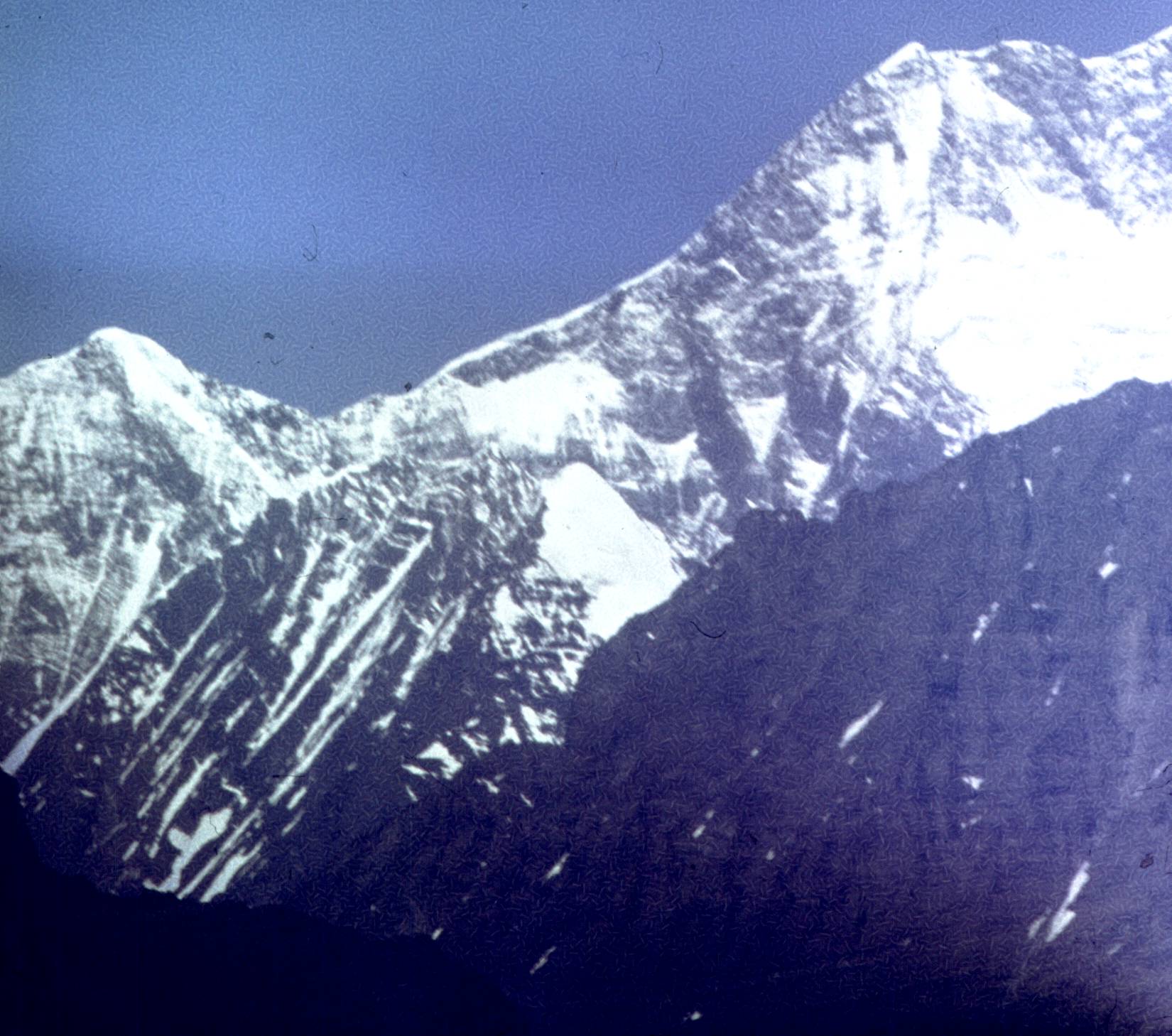 275.jpg