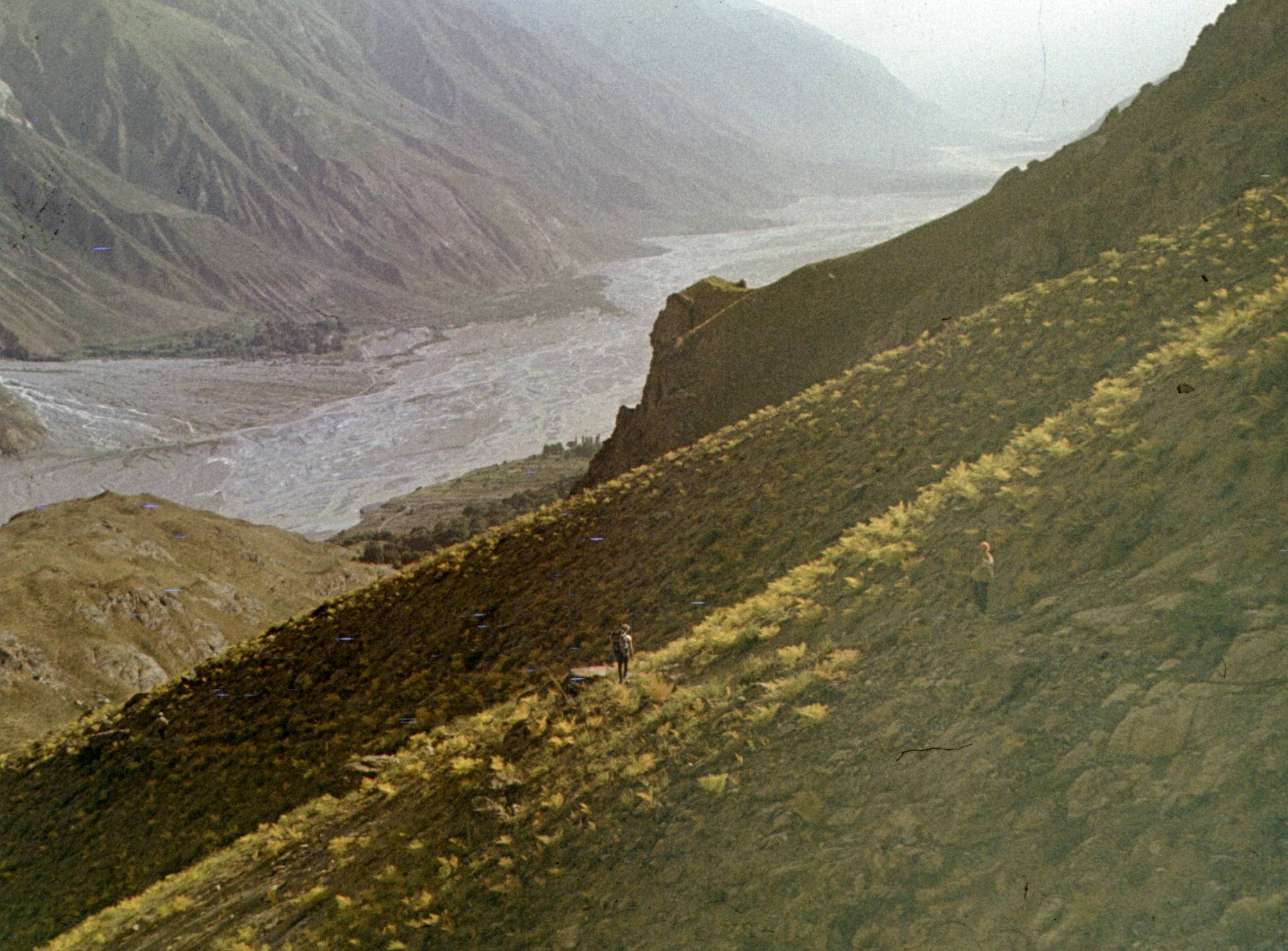 283.jpg