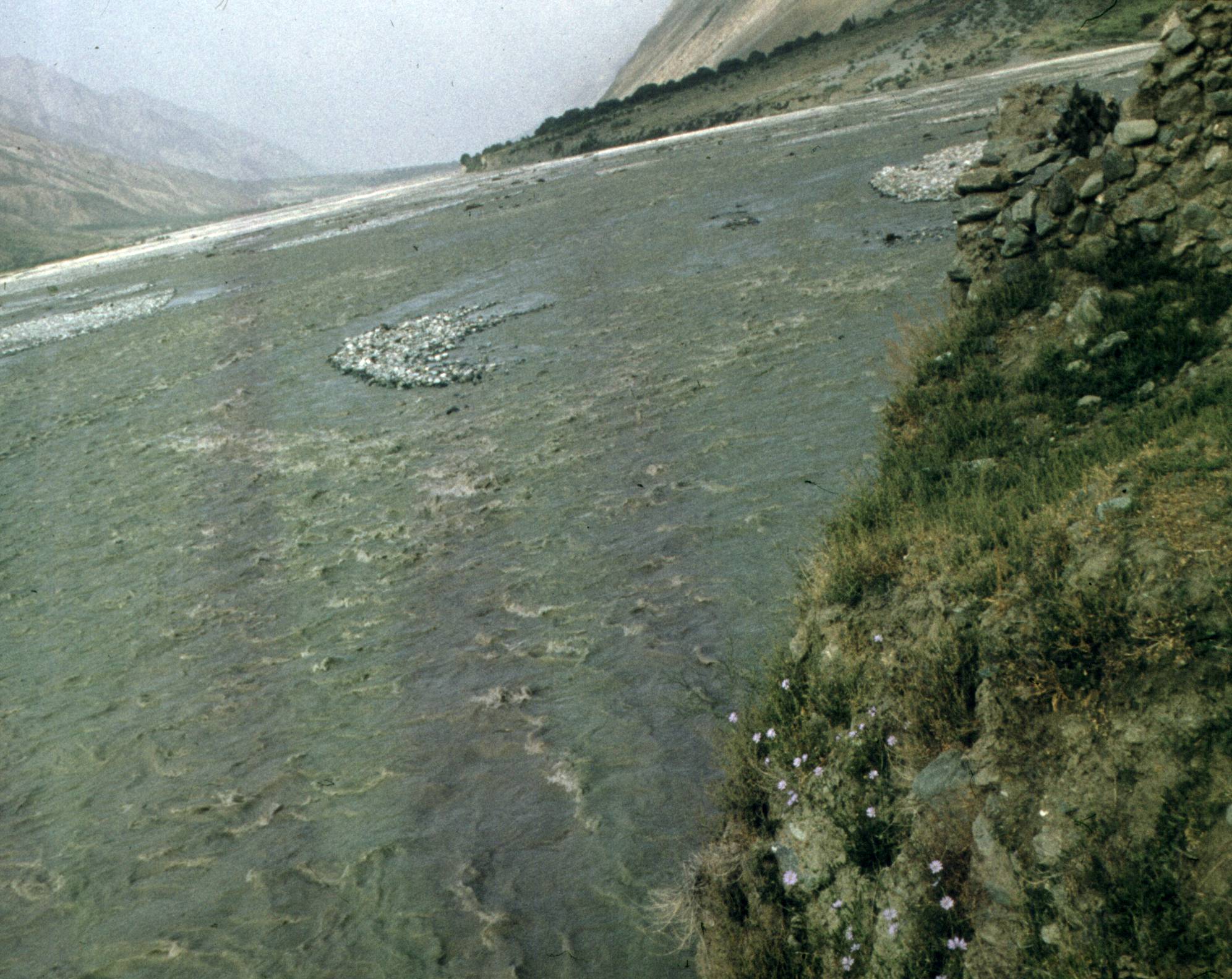 316.jpg