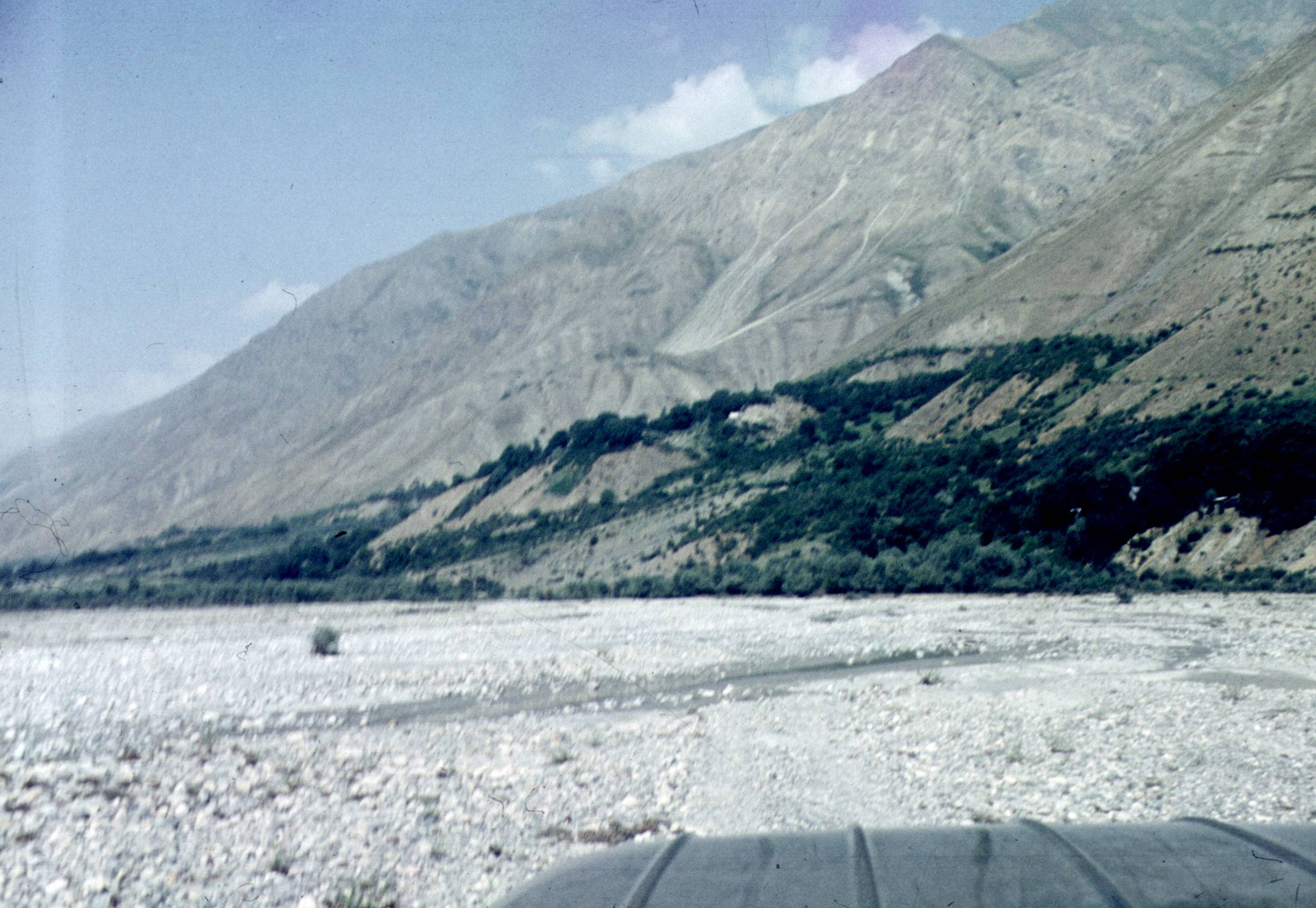 317.jpg