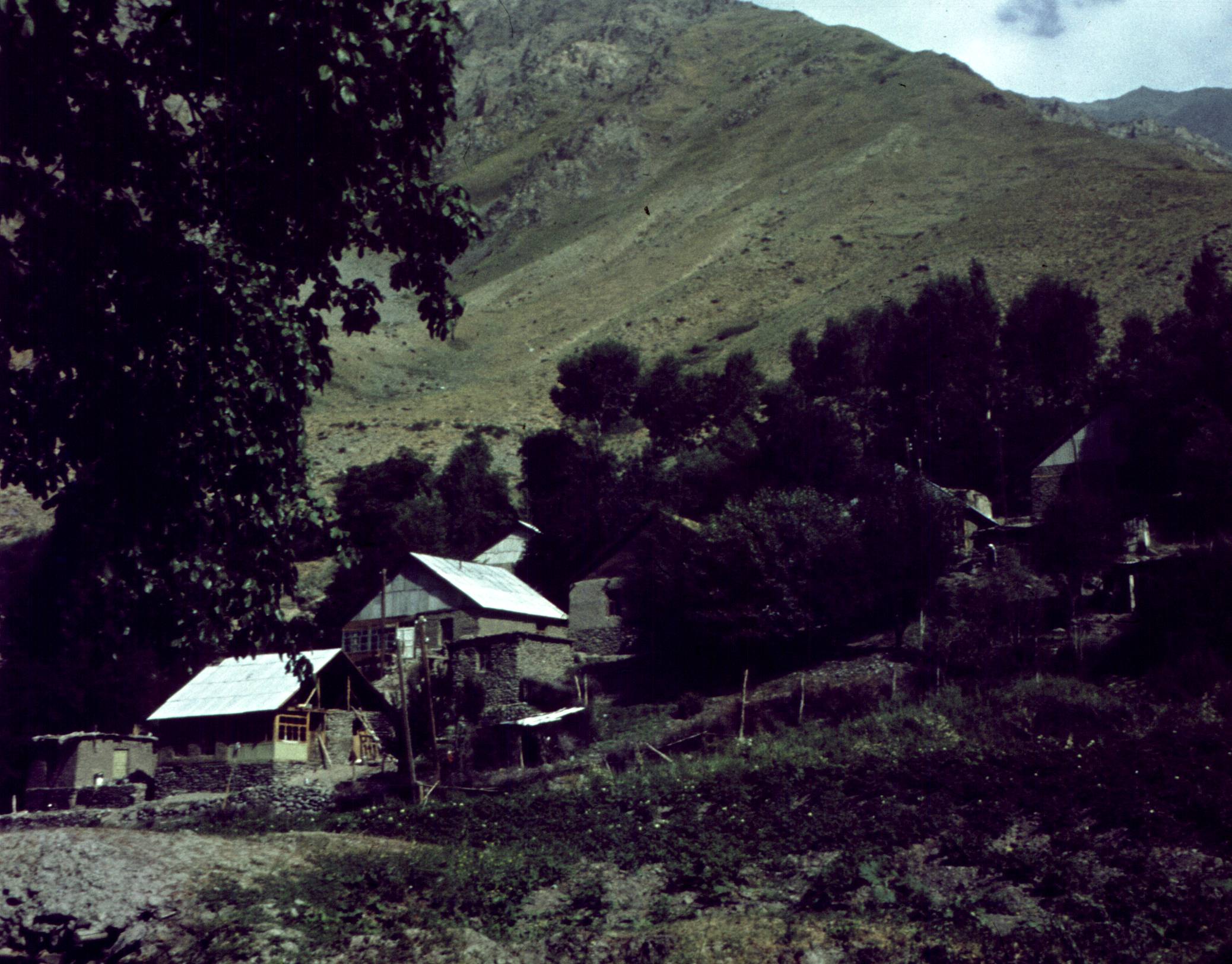 319.jpg